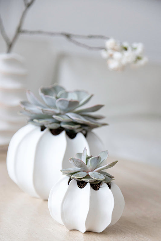 Vase VAYA
