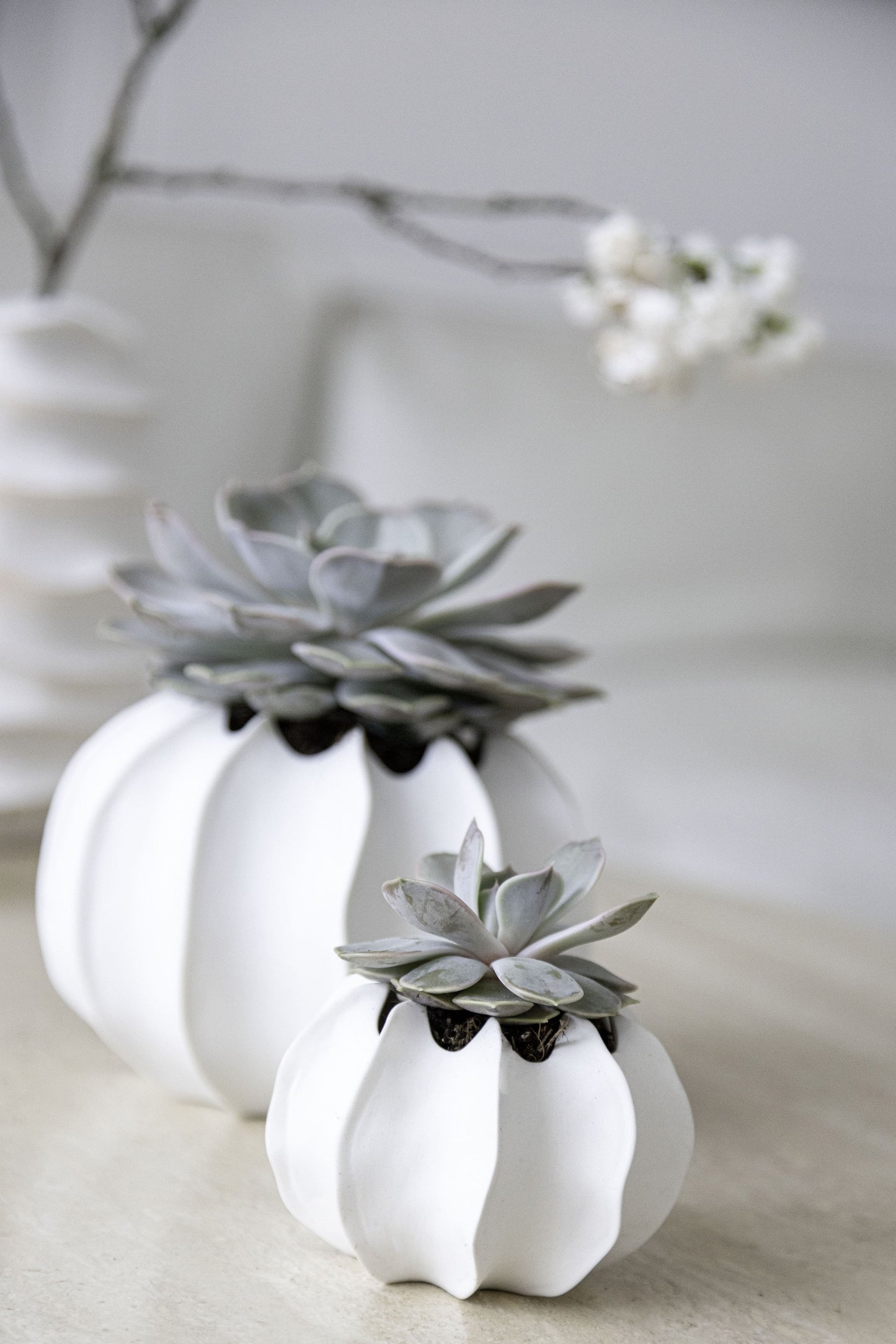 VAYA vase in biscuit porcelain