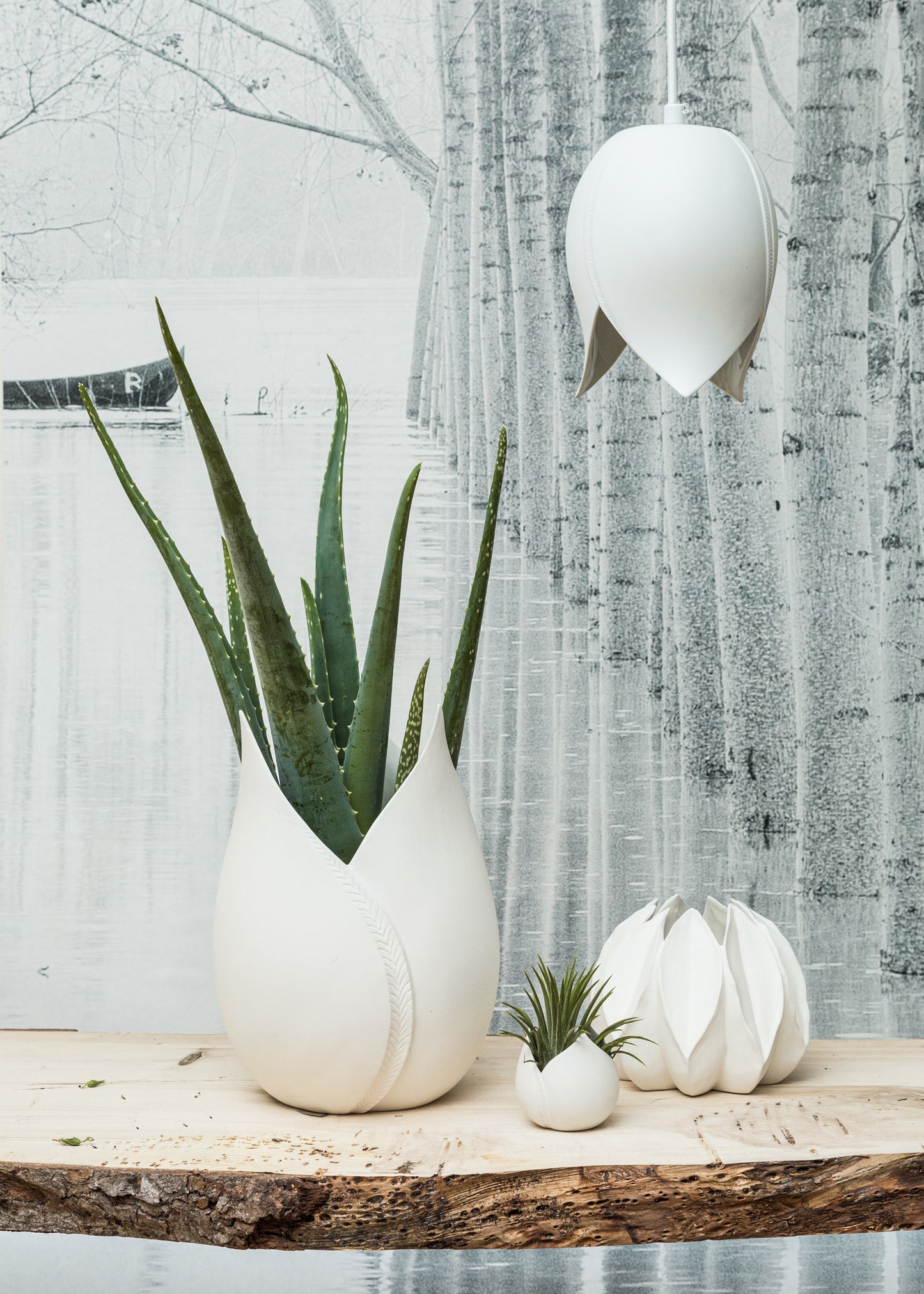 Photophore TULIPE
