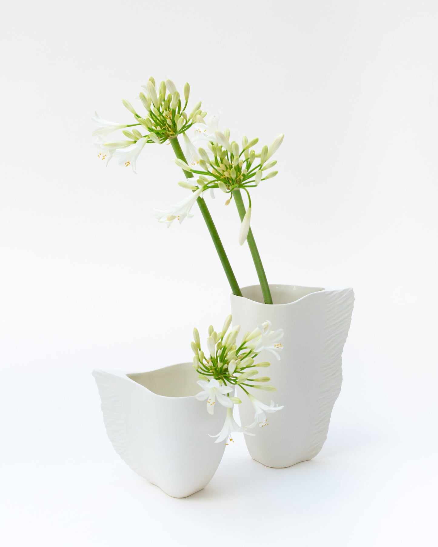 Vase VING en porcelaine biscuit