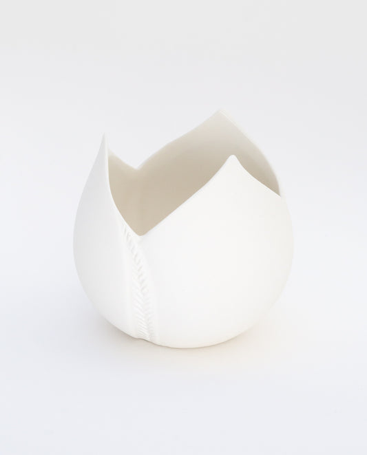 PHOTOPHORE TULIPE