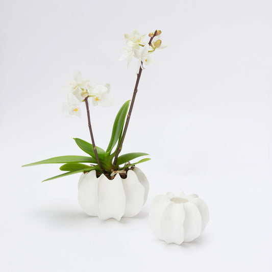 VAYA Y16005 - YLVAYA design